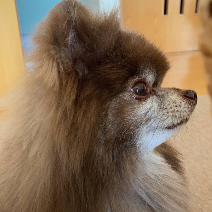 1d0d5c9d ac6d 4b63 9678 bff57f21afea 1681017562422