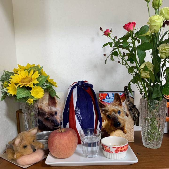 1d0d6177 5e64 4057 be26 22154a17bd70 1599722561845