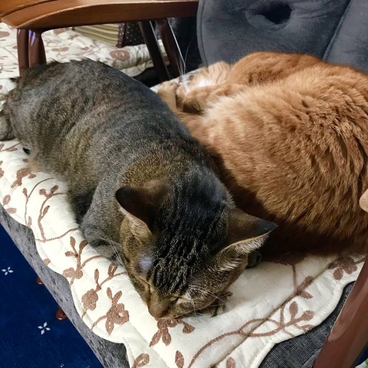 1d0d859f 04fb 43dd 9056 fb8837d77690 1528104898465