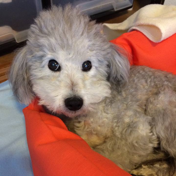 1d0d8c1f 6582 413b 910f f4107fc66cd4 1510274834747