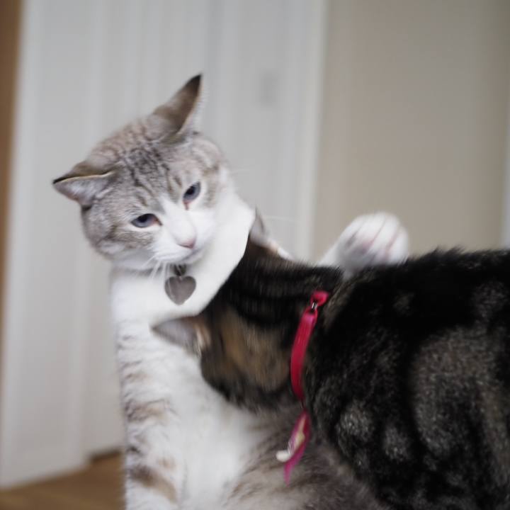 1d0de5c8 fa64 4a92 8404 c1bb42b73cb5 1629019322461