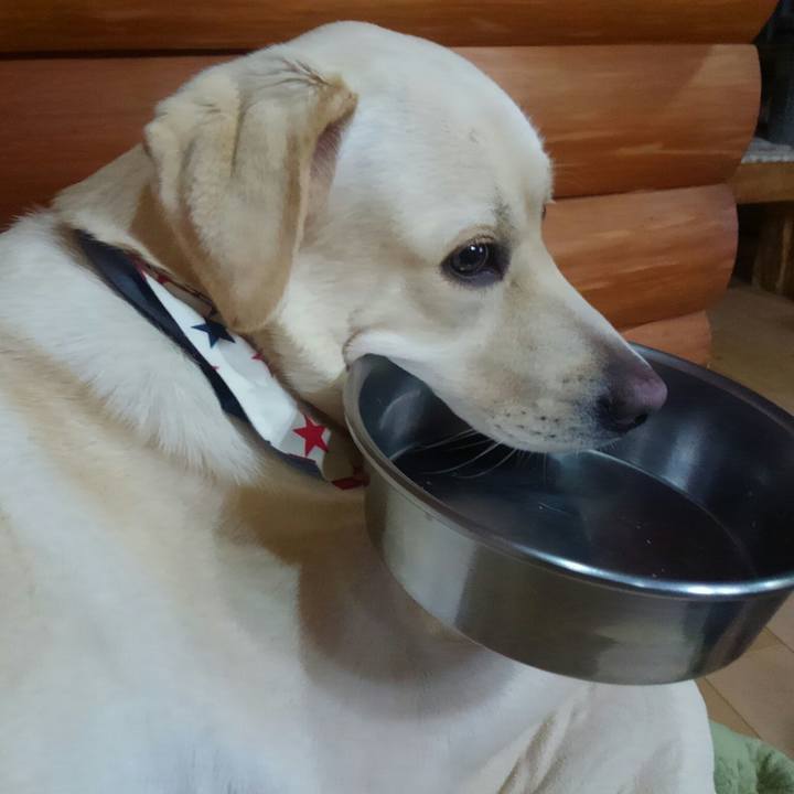 1d0dfdd7 1c41 4bee 85d1 6efdd9a02e5a 1508408078617