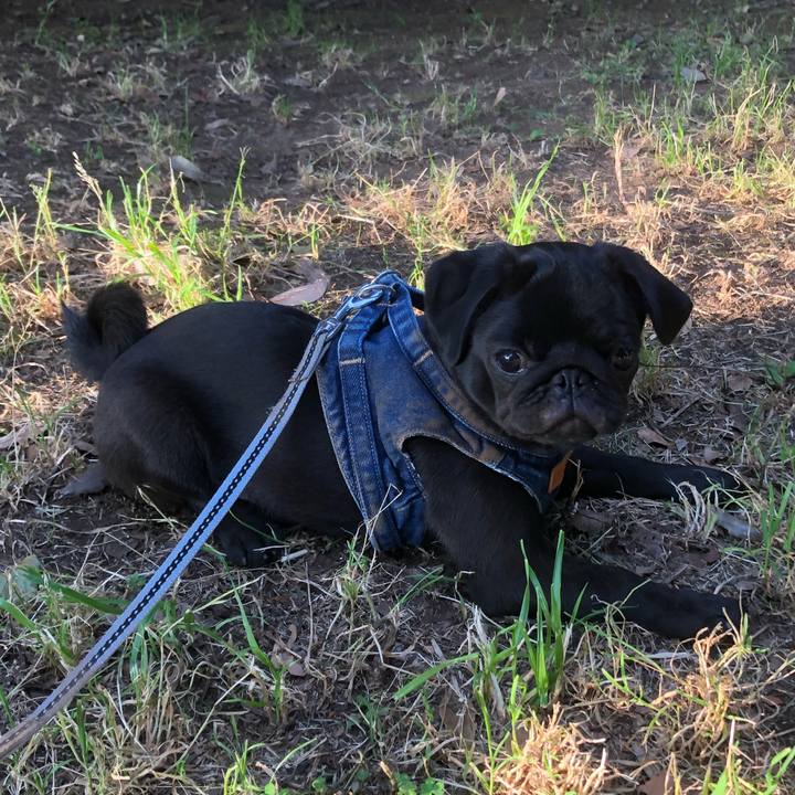 1d0e26e9 0bdf 44b1 8cb7 42fdc3c71fa7 1591735426710