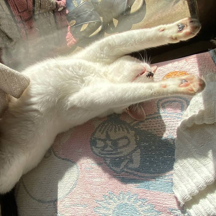 1d0e4dfc 6aa2 4364 a82b 4d89c2982b42 1572597523339