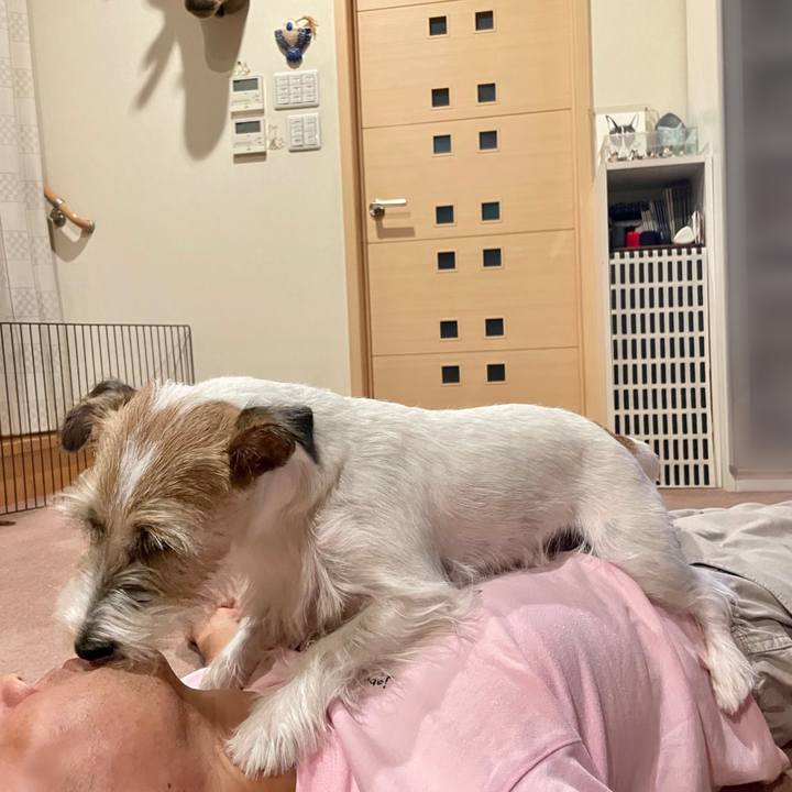 1d0e652a ee3c 4fcd 9701 d1c978ae6e0c 1662384211469