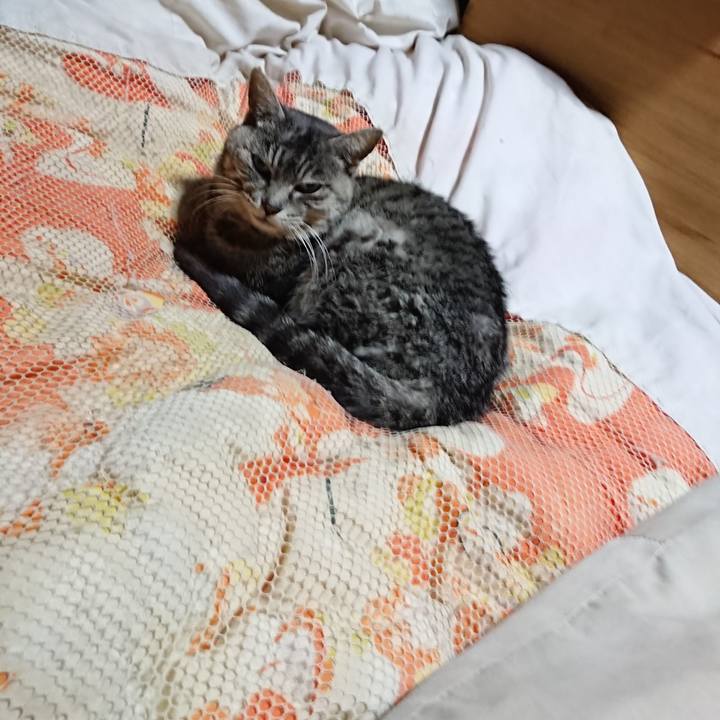 1d0e6666 3d33 4636 b85d 81030864c85d 1583930605357