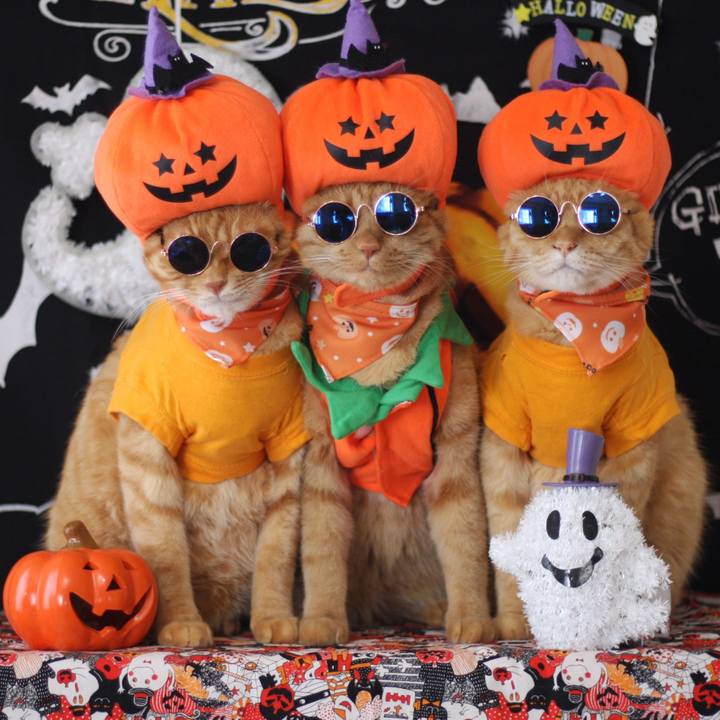 1d0e6bd6 da6c 46cf ab79 50ecc8cc3e59 1633840886570