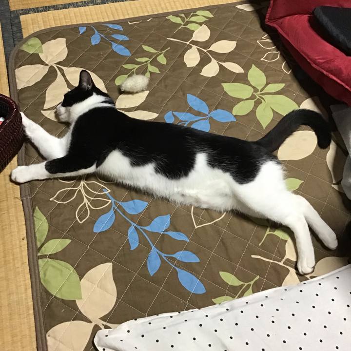 1d0e7e58 75d7 47b3 9250 f1420862404c 1633859112112