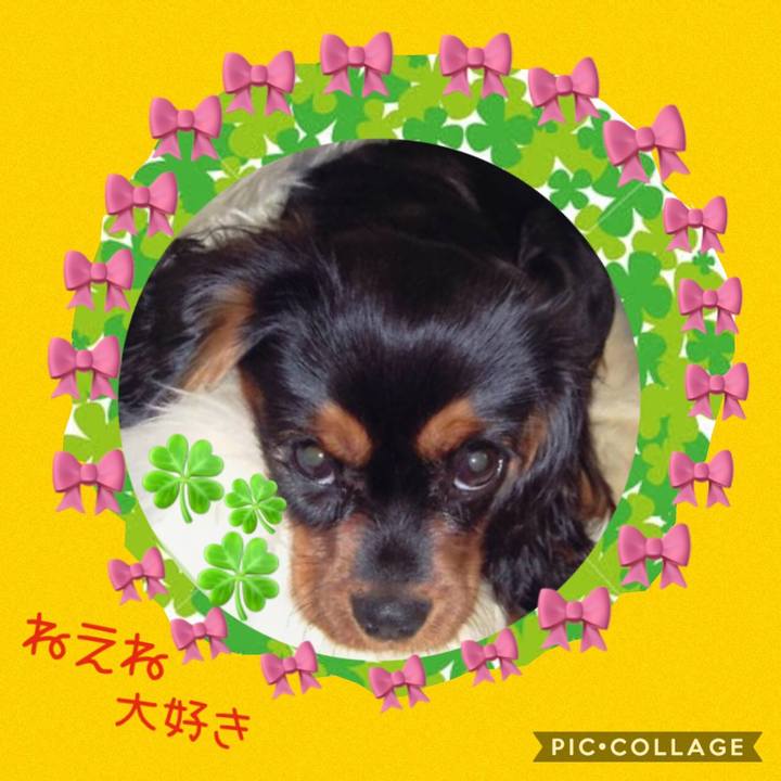 1d0ed977 9ebd 49b6 8334 064d7cae022b 1550827235926