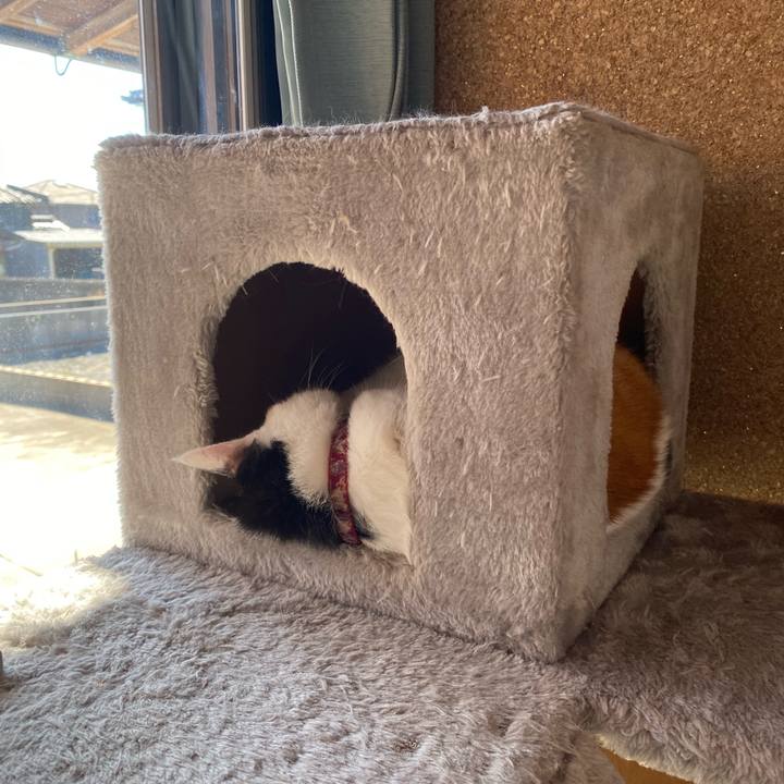 1d0ee872 c91e 4730 aa4b 02358a94e449 1666787117933