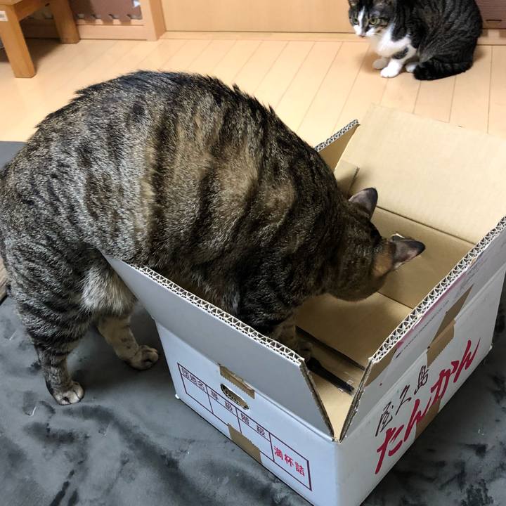 1d0ee9dd f12b 45af 914d 2ca38b4fd825 1521429100452