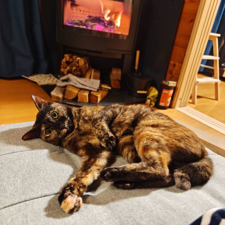 1d0f303b af3e 484b 80c8 e1c3197c725d 1766417595577