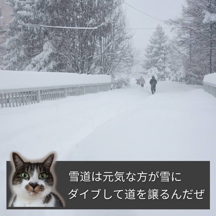 1d0f8a6d 1083 4d52 942e 6879660742db 1769327496400