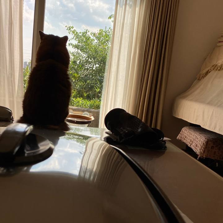 1d0f9db0 2426 445a a770 0e86b34de63c 1697421880609