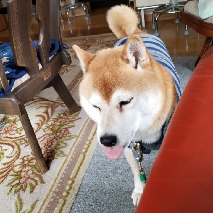 1d0fc7a9 aa97 4faa ab83 8b78fc231175 1578277177236