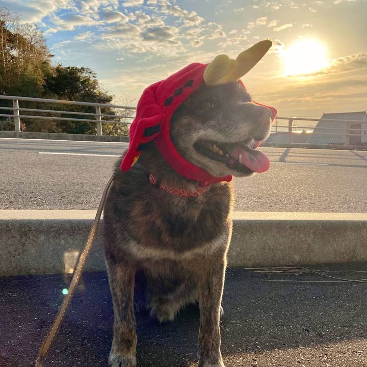 1d0fdadd c7db 4bec b16e 5de9c2dcd9b1 1620382631495