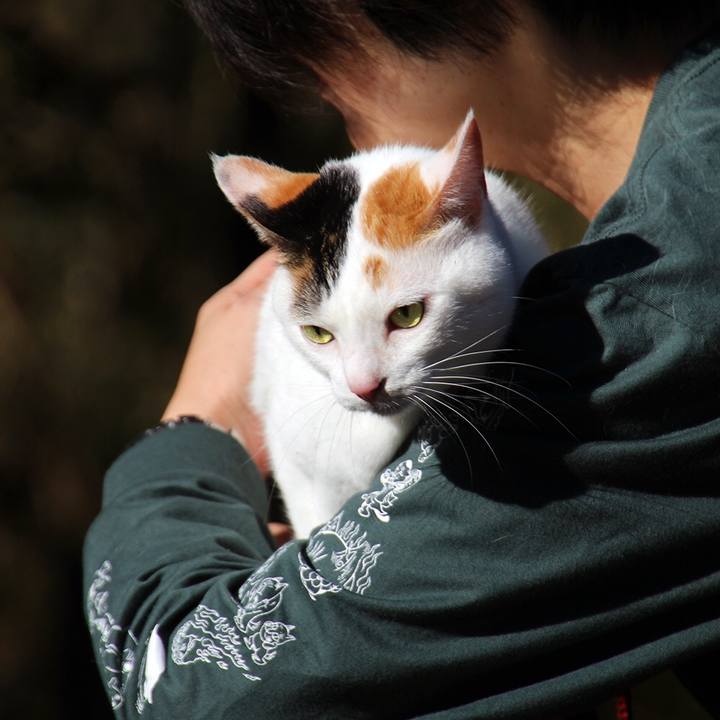 1d0ff8e8 08dc 410d 98e1 91d1a3d20506 1642116464530