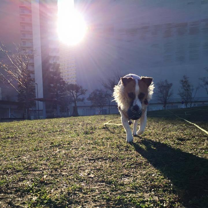 1d1017bc 308a 4a9c a8c7 e158107825de 1671373537210