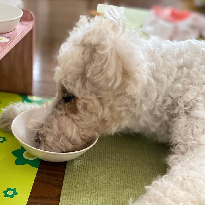 1d1031d6 2503 4e49 b9ea b62ed885974a 1593819437610