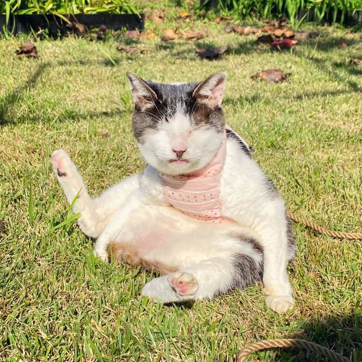 1d104490 32f8 45b8 b866 5a3643aee6ed 1614923188687