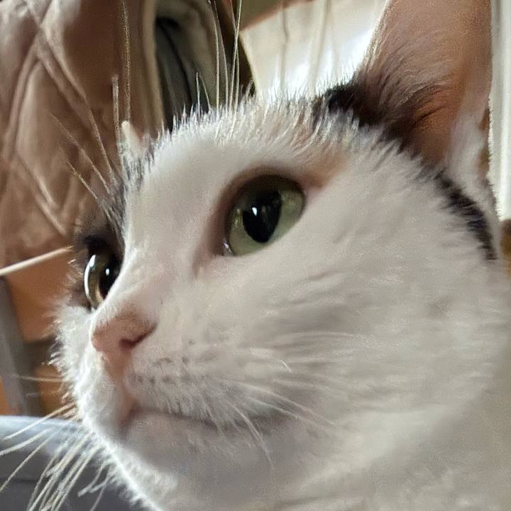 1d104e88 3424 4a88 804d 83fb1565559e 1771896663819