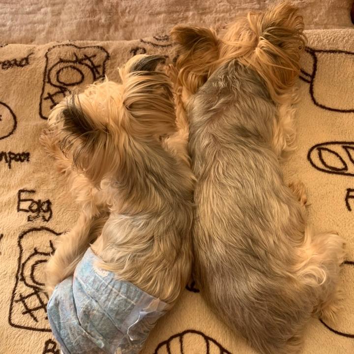 1d104f6a 30f7 462d 9da4 e36d0f25223f 1666000674179