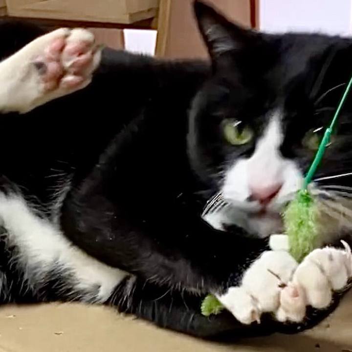 1d107cf0 7d9b 48c2 a2cd 205b0c3942d1 1736563864665