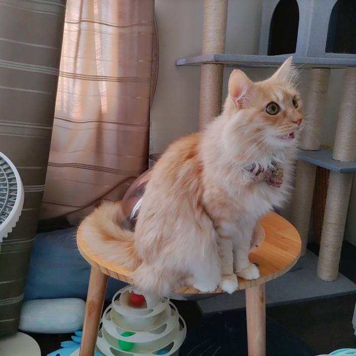 1d10ba71 8ccc 4e87 a78c 0238ae0899e9 1704000418954