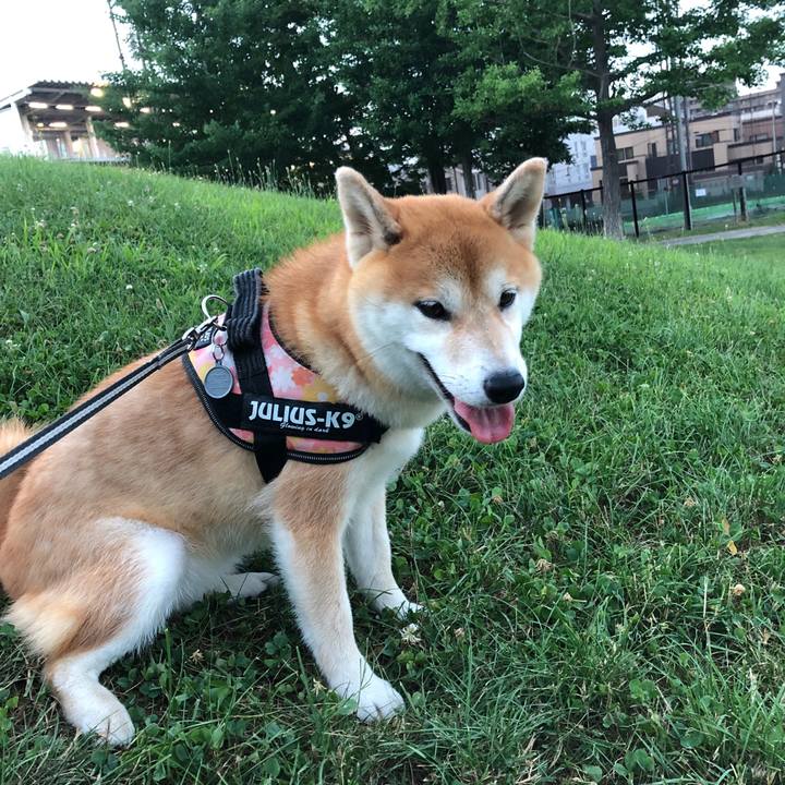 1d10e45a a1c9 4679 af50 a4a947ef8fb9 1532950651253