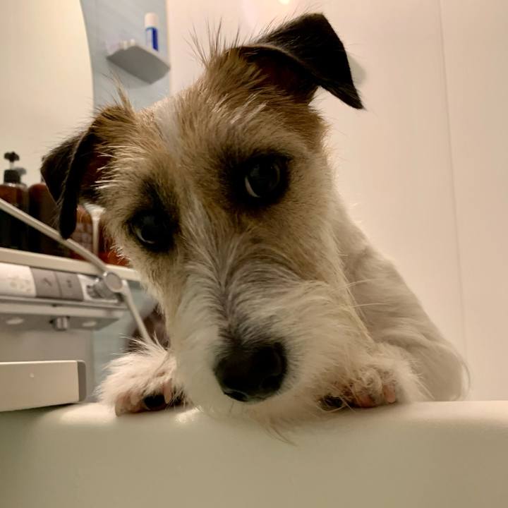 1d10eab9 5783 4a1f 9441 31b81613a2f7 1683629773478