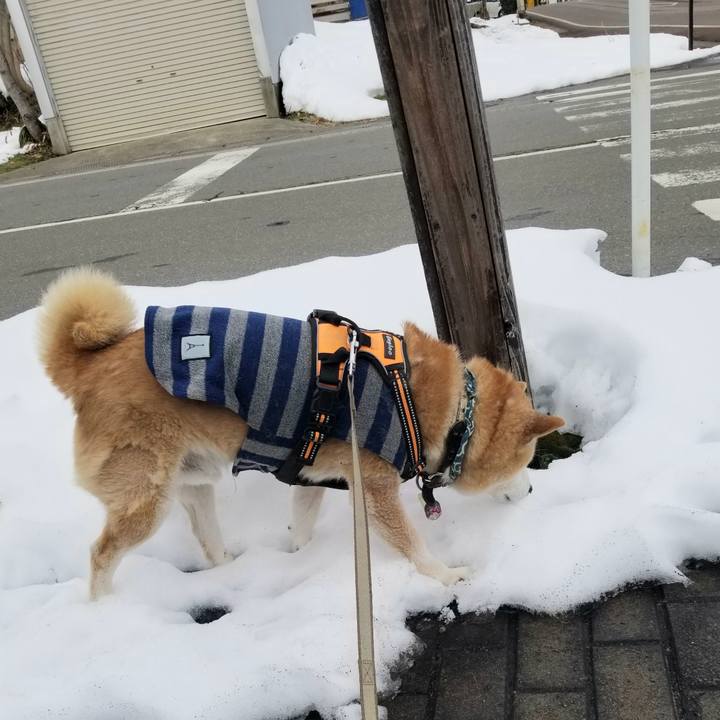 1d10f097 60cf 4fcf 85e1 96765c9ddd92 1705893929491