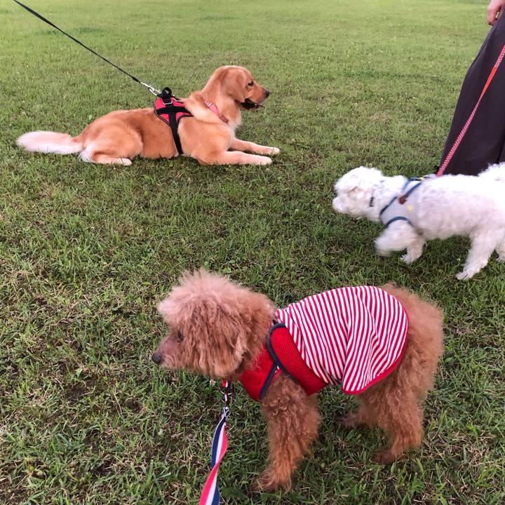 1d114fef a0cc 4496 a421 b3e67acfe238 1688786815893