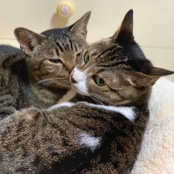 1d1152f9 0d86 424c 9140 f8fbf45186a6 1559177298870