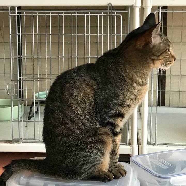 1d11b822 614c 4610 8441 4680f482f889 1529892375981