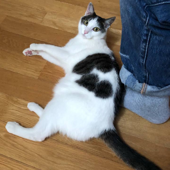 1d12392f b3e5 48e9 9a71 bf314c92097a 1688554509587