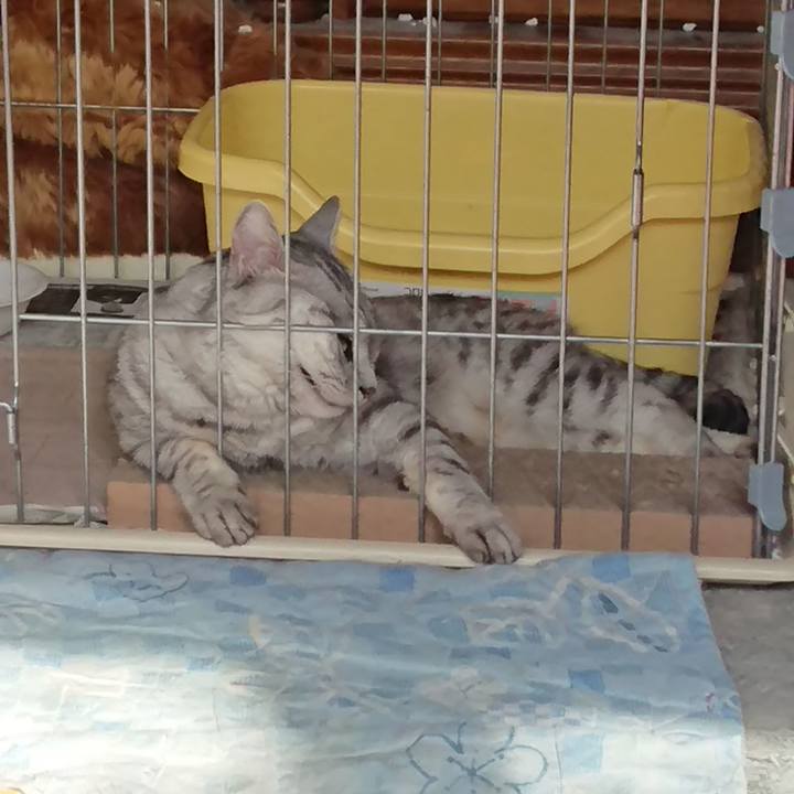 1d12453a 7d8f 4c9f 8b03 d04915231828 1532992518674