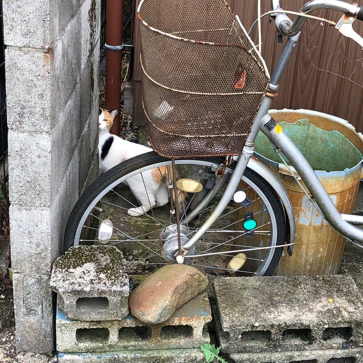 1d125e67 1b01 414d a9c1 b66143980b56 1536309278098