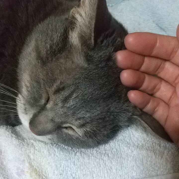 1d127d9e 8920 42ab 92a9 7276f41fa6d0 1619708883282