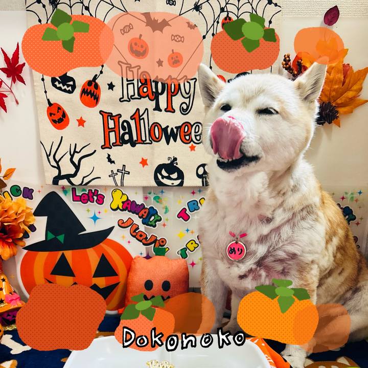 1d12a4a2 1570 41ea bd6a 0cda2c5f001d 1761129110425