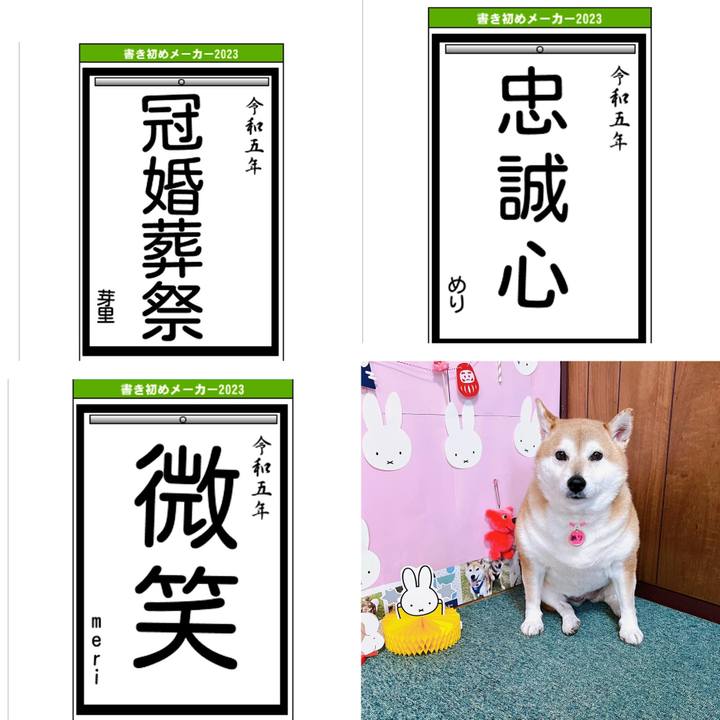 1d12bdda 4812 4055 b019 e52db24e71df 1672608509059