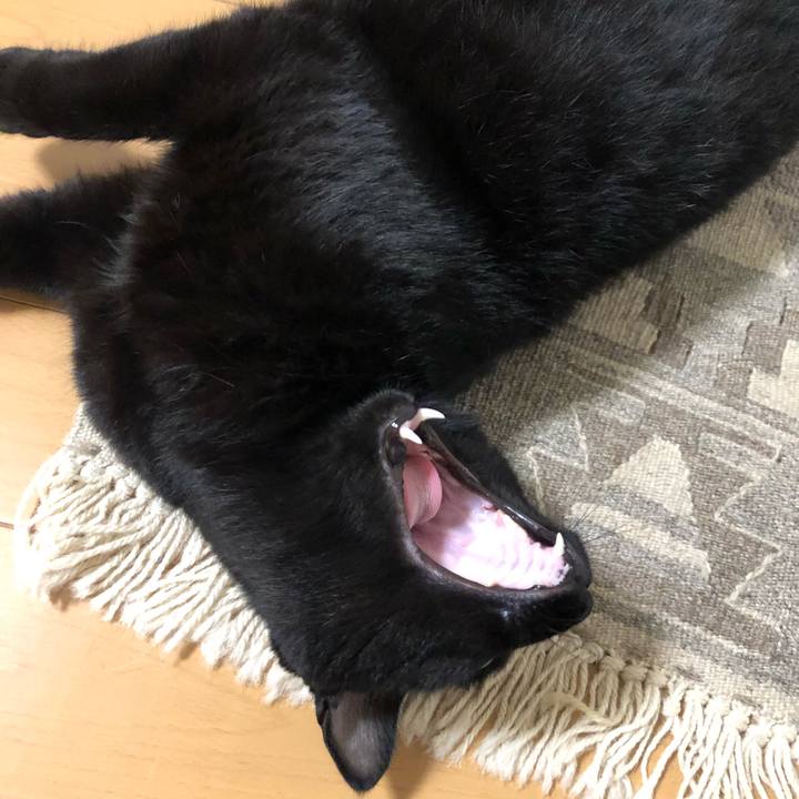 1d132621 ead9 4976 8f83 b4250549c61d 1563582446106