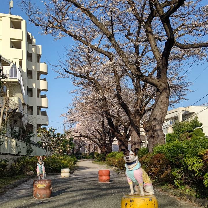 1d1338f5 051e 4ff4 9878 7b9bb8944999 1712009759159