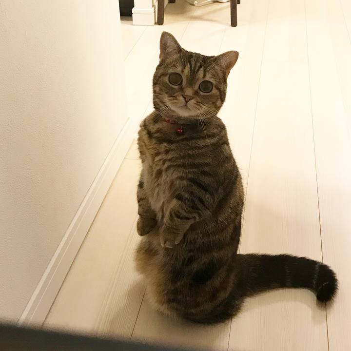 1d143f81 2cee 450b be42 2db24895bdb0 1524225548926