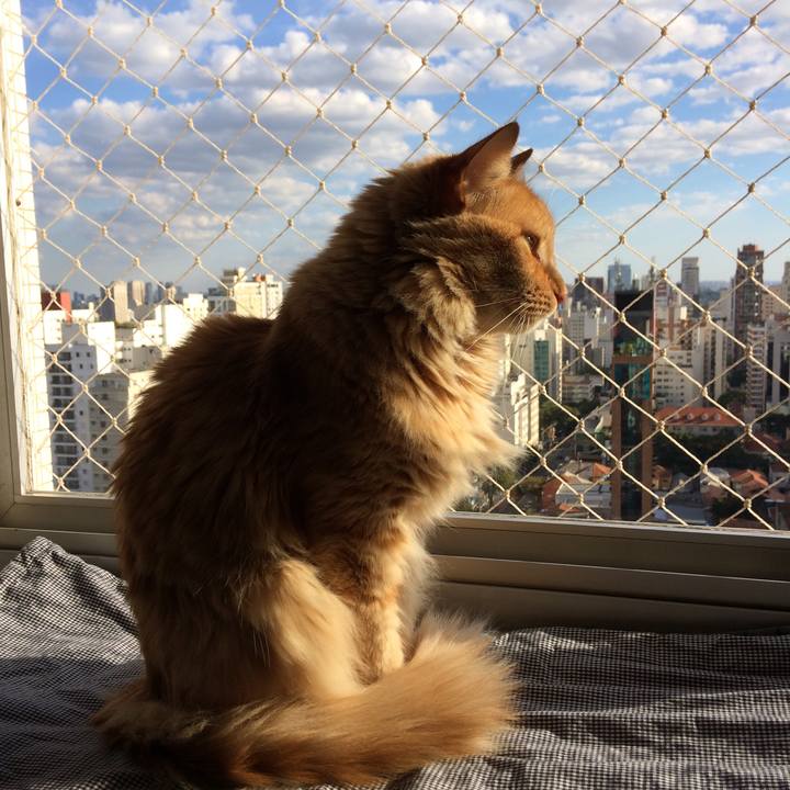 1d14808b 0310 4b42 b21d 7defa47519c9 1529518841890