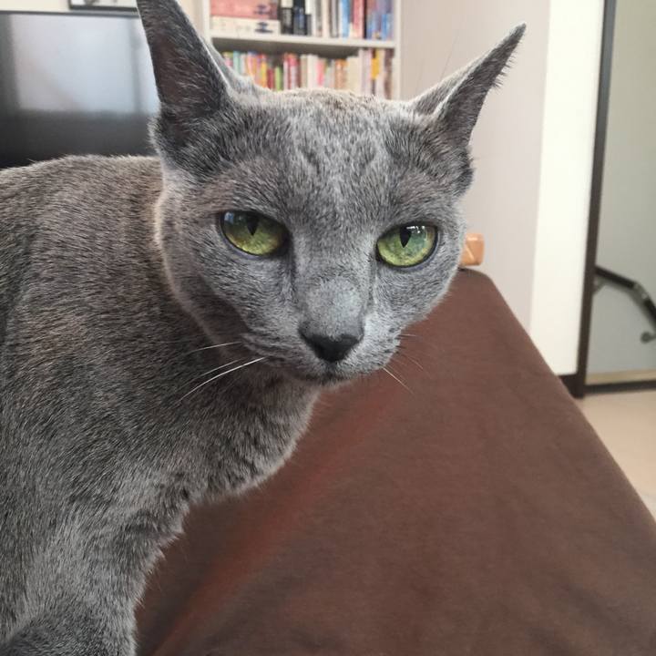 1d14af18 fceb 47aa b870 b1dd8878be54 1541213751405