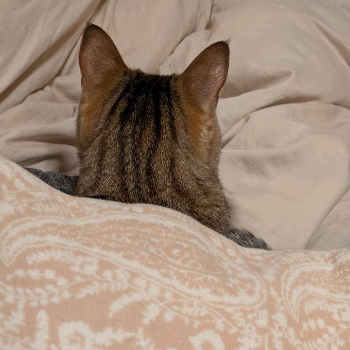 1d14eeb1 3bfc 4a93 8825 6f8c3be83ff2 1772489374427