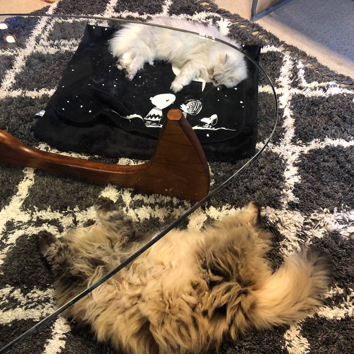 1d14f3b1 acde 4c21 8662 df46cddb78d1 1611014553386