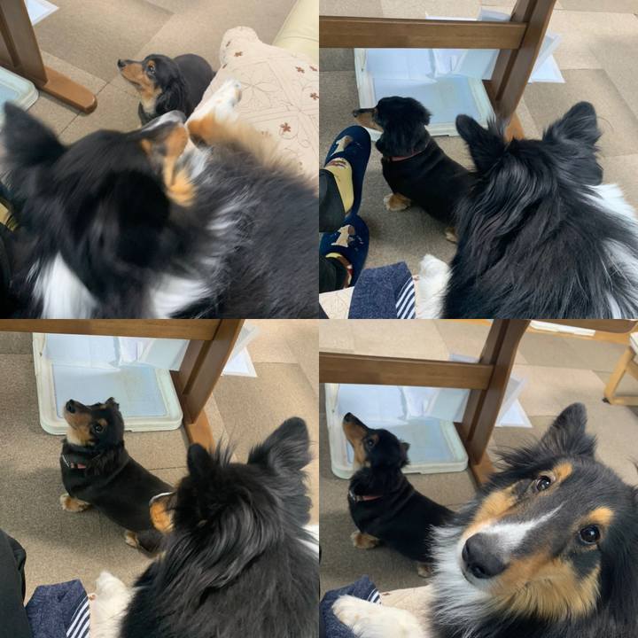 1d14ff21 e635 45aa 98c8 28047c2d8aca 1585435795026