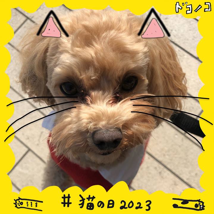 1d152fb4 19bb 4883 ba86 27c7756b77de 1677031629172