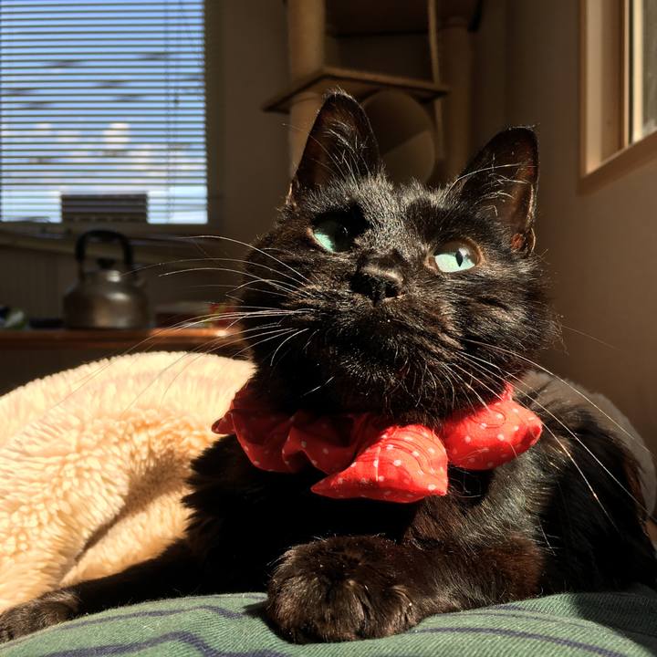 1d159158 cb20 4832 abaf d33c2a7dd653 1577790685788